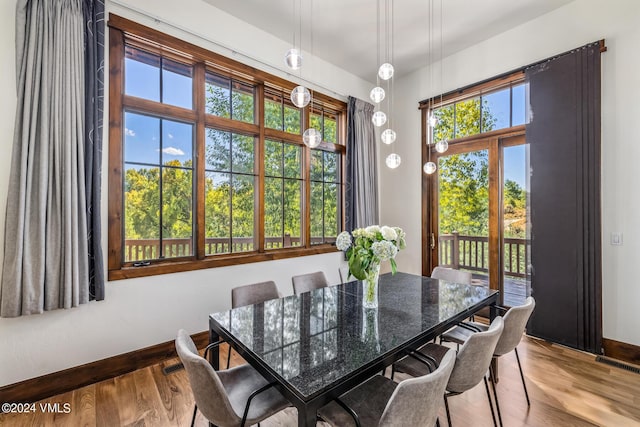 dining area featuring wood-type flooring