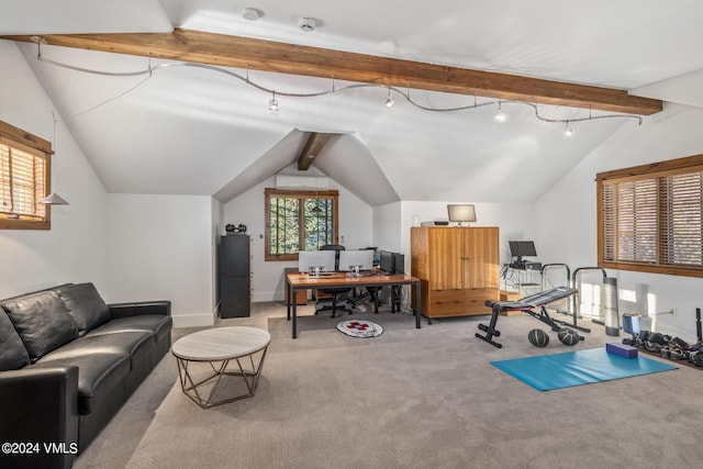 exercise area with carpet and lofted ceiling