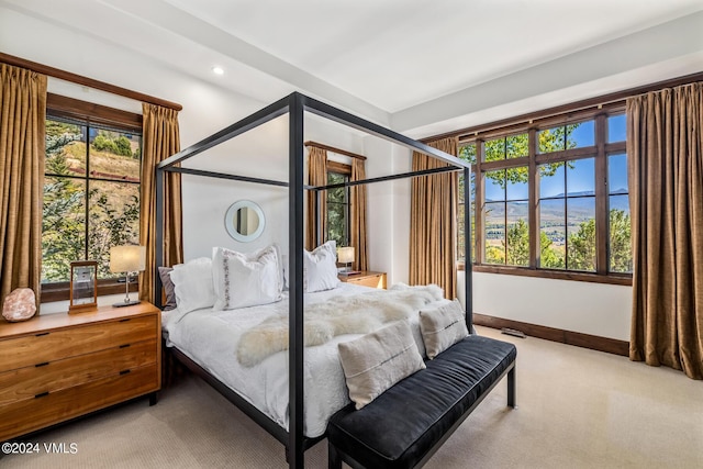 carpeted bedroom with multiple windows