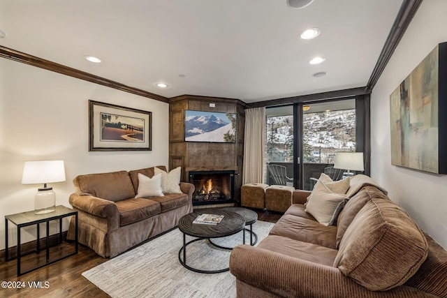 living room featuring crown molding, dark wood-type flooring, and a large fireplace