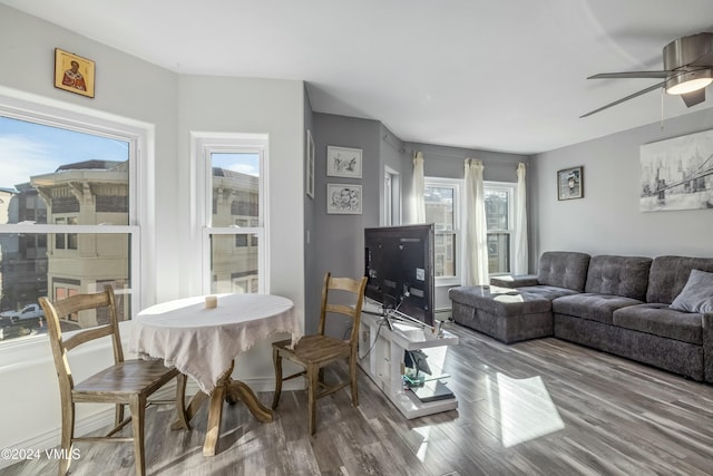 living room featuring hardwood / wood-style floors and a wealth of natural light