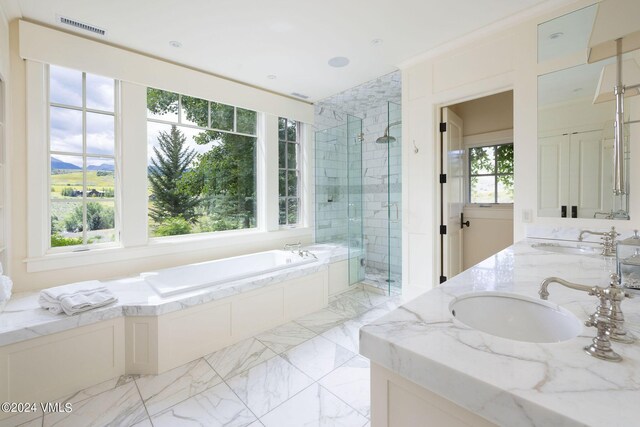 bathroom featuring vanity and independent shower and bath