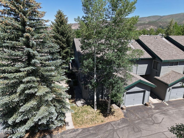 1000 Homestead Dr Unit 7, Edwards, CO 81632 - photo 35