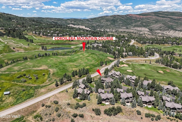 33 Grey Hawk Ln, Edwards, CO 81632 - photo 74