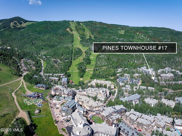 111 Scott Hill Rd Unit 17, Beaver Creek, CO 81620 - aerial overview of property's location featuring a heavily wooded area and a mountain backdrop