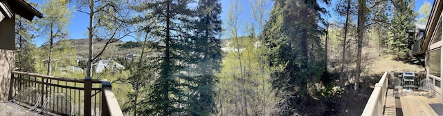 111 Scott Hill Rd Unit 17, Beaver Creek, CO 81620 - view of yard