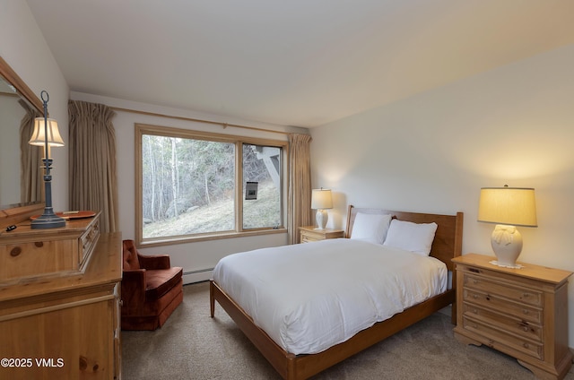 111 Scott Hill Rd Unit 17, Beaver Creek, CO 81620 - bedroom with a baseboard radiator and carpet flooring