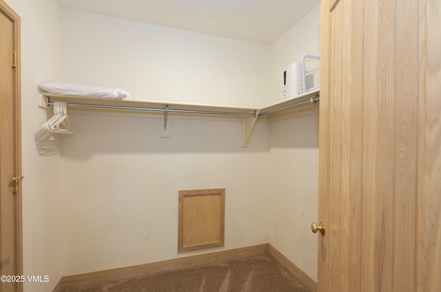 111 Scott Hill Rd Unit 17, Beaver Creek, CO 81620 - spacious closet with carpet flooring