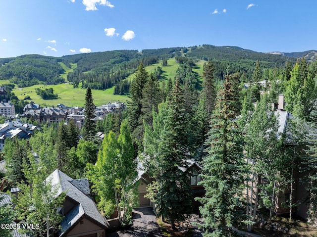 111 Scott Hill Rd Unit 17, Beaver Creek, CO 81620 - view of mountain backdrop with a heavily wooded area