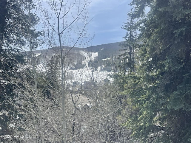111 Scott Hill Rd Unit 17, Beaver Creek, CO 81620 - view of mountain background