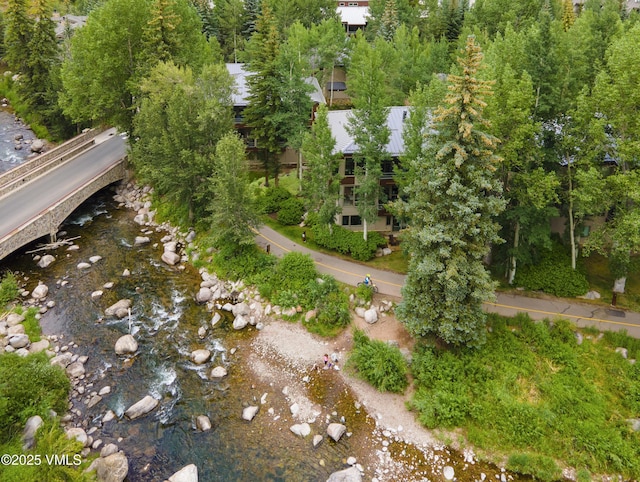 1360 Westhaven Dr Unit 5A, Vail, CO 81657 - photo 51