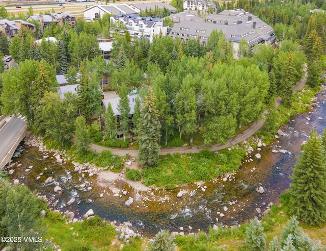 1360 Westhaven Dr Unit 5A, Vail, CO 81657 - photo 50