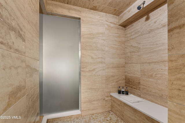 311 Offerson Rd Unit 223, Beaver Creek, CO 81620 - bathroom with tiled shower