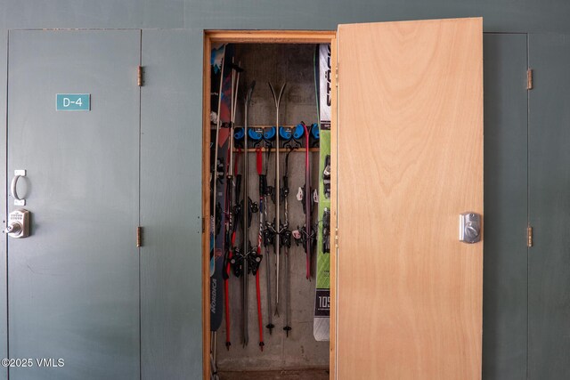 311 Offerson Rd Unit 223, Beaver Creek, CO 81620 - view of closet
