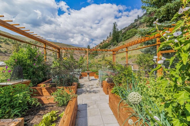 1644 Squaw Creek Rd, Edwards, CO 81632 - view of patio / terrace featuring a garden