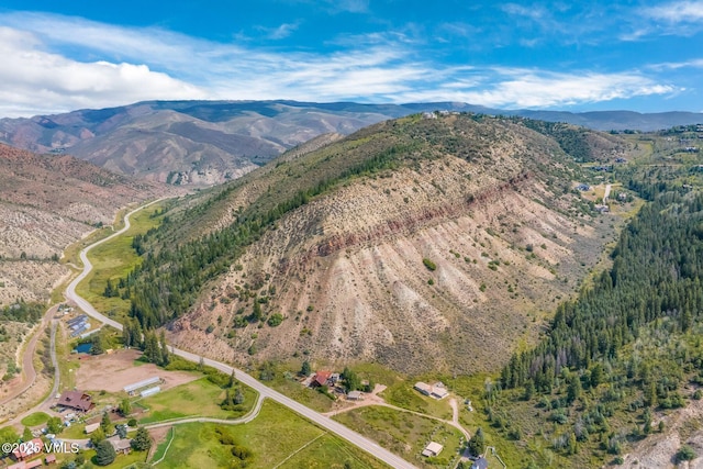 drone / aerial view featuring a mountain view