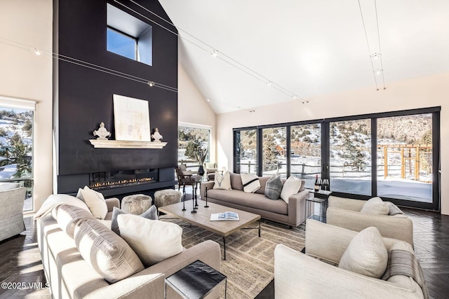 living room with rail lighting, high vaulted ceiling, and dark parquet floors