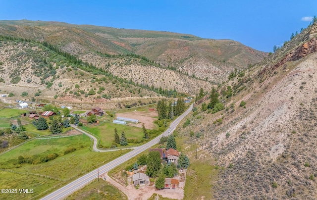 birds eye view of property featuring a mountain view