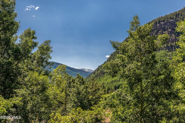 3235 Katsos Ranch Rd, Vail, CO 81657 - view of mountain background with a heavily wooded area