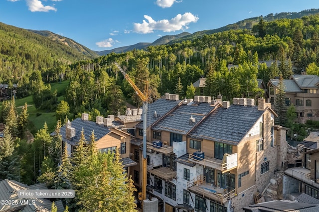 46 Red Spruce Ln Unit 2, Beaver Creek, CO 81620 - mountain view with a heavily wooded area