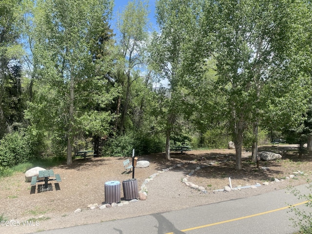 34323 US Highway 6 Unit R-201, Edwards, CO 81632 - view of yard
