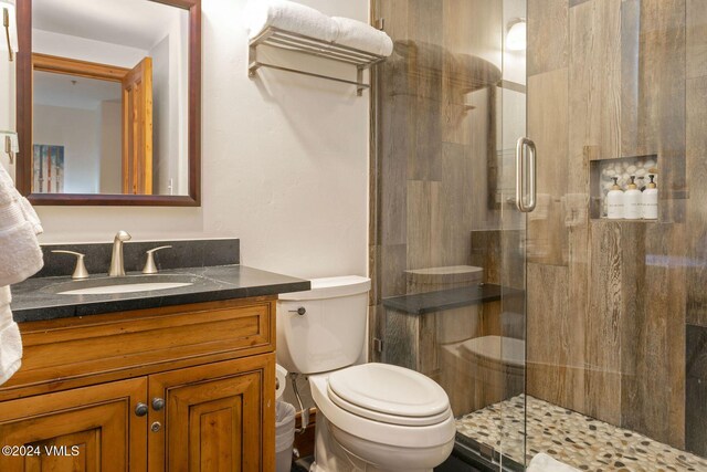 bathroom featuring vanity, toilet, and walk in shower