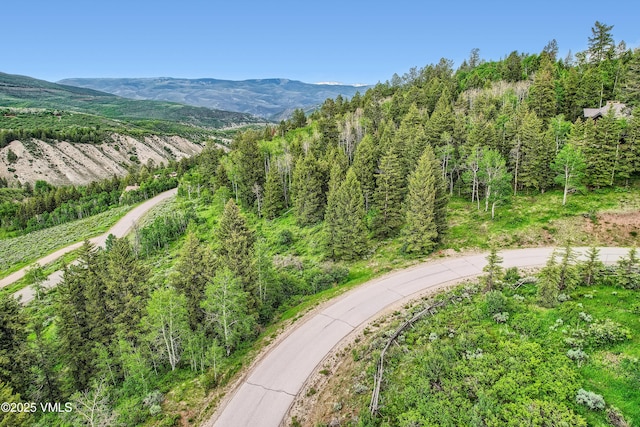314 Graham Rd, Edwards, CO 81632