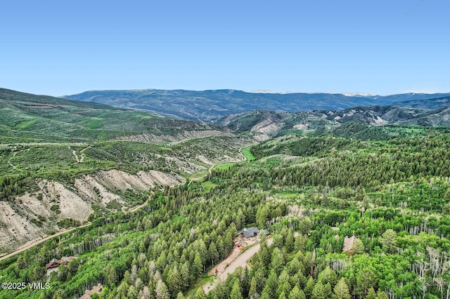 314 Graham Rd, Edwards, CO 81632