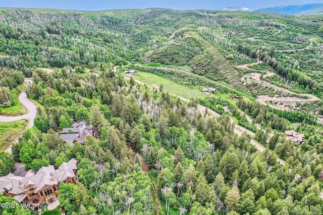 314 Graham Rd, Edwards, CO 81632