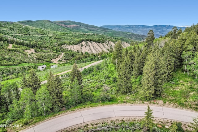 314 Graham Rd, Edwards, CO 81632