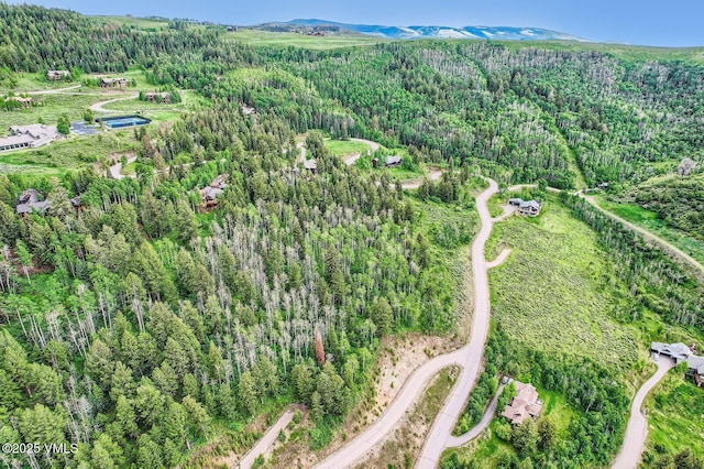 314 Graham Rd, Edwards, CO 81632