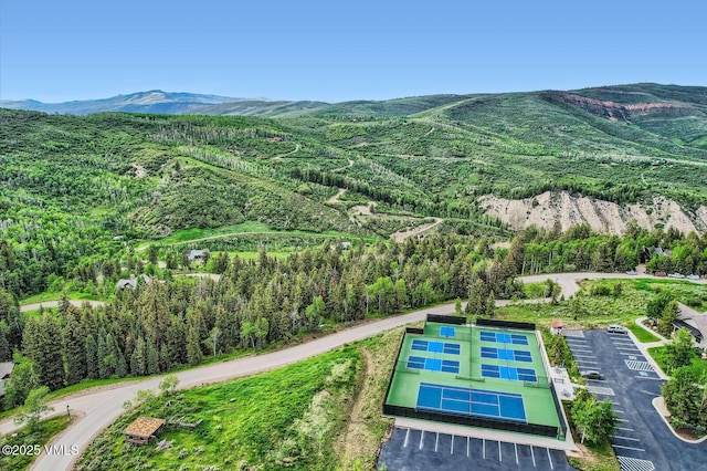 314 Graham Rd, Edwards, CO 81632