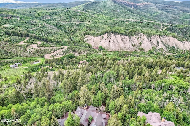 314 Graham Rd, Edwards, CO 81632