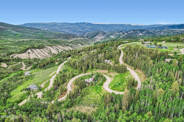 314 Graham Rd, Edwards, CO 81632