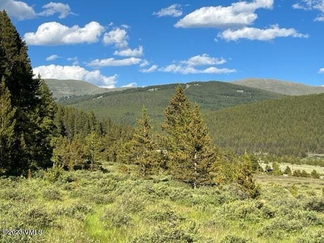 Listing photo 3 for 40 County Road 19, Leadville CO 80461