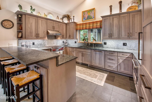 2832 Kinnickinnick Rd Unit 4, Vail, CO 81657 - kitchen with under cabinet range hood, stainless steel range, a peninsula, open shelves, and backsplash