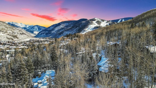 property view of mountains with a wooded view