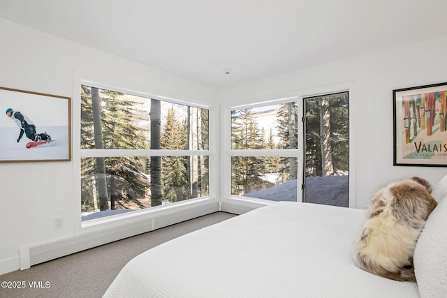 carpeted bedroom featuring multiple windows