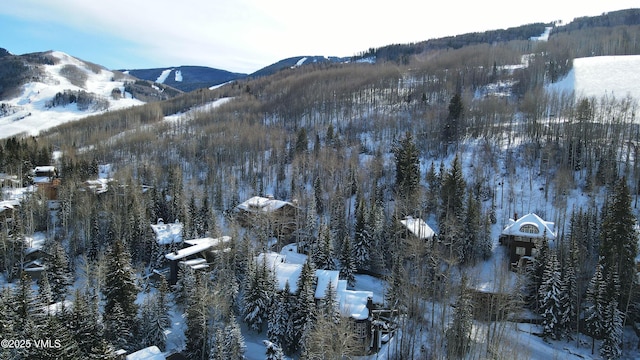 view of mountain feature with a forest view