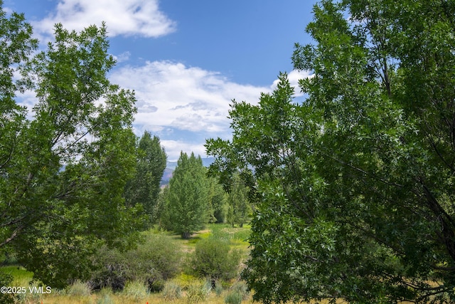 530 Founders Ave Unit A201, Eagle, CO 81631 - photo 29