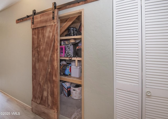 104-2 Quail Cir, Gypsum, CO 81637 - view of closet