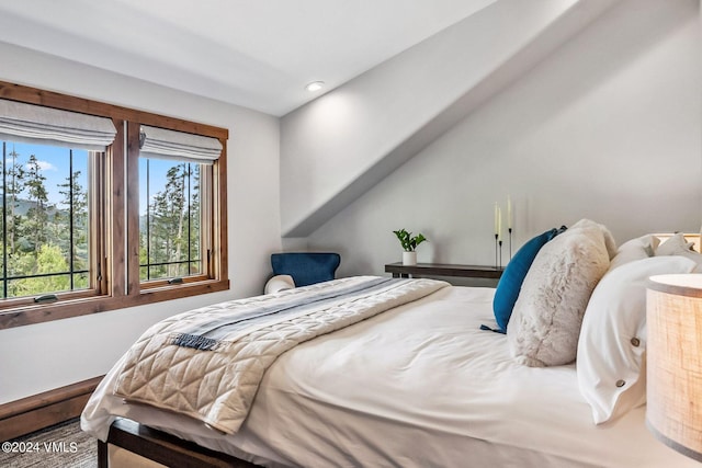 bedroom featuring multiple windows