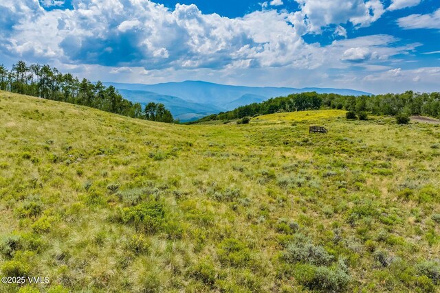 52 Murphys Creek Rd, Edwards, CO 81632 - photo 8