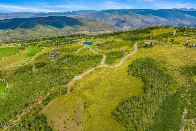 52 Murphys Creek Rd, Edwards, CO 81632 - photo 7
