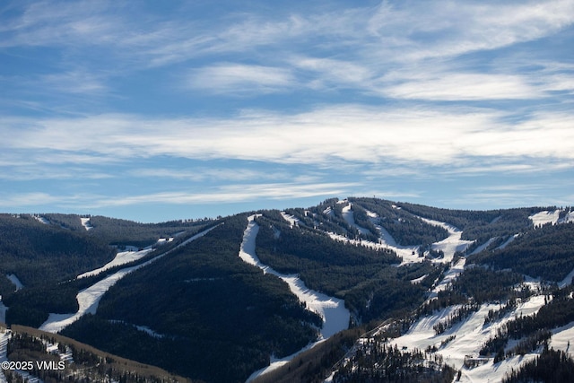 view of mountain feature