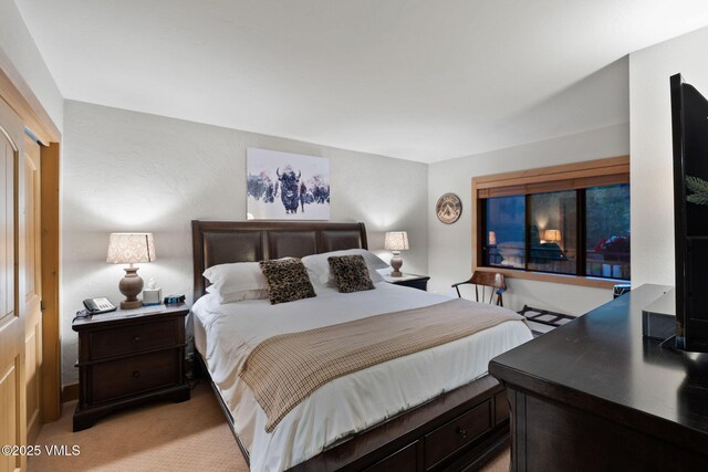 view of carpeted bedroom