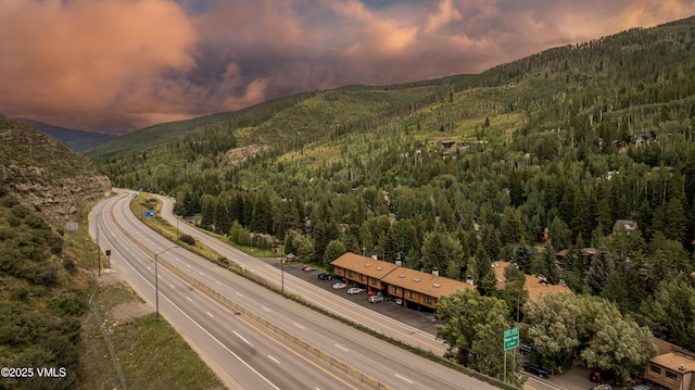2958 S Frontage Rd W Unit C2, Vail, CO 81657 - photo 49