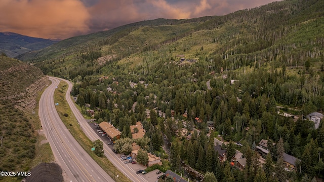 2958 S Frontage Rd W Unit C2, Vail, CO 81657 - photo 50