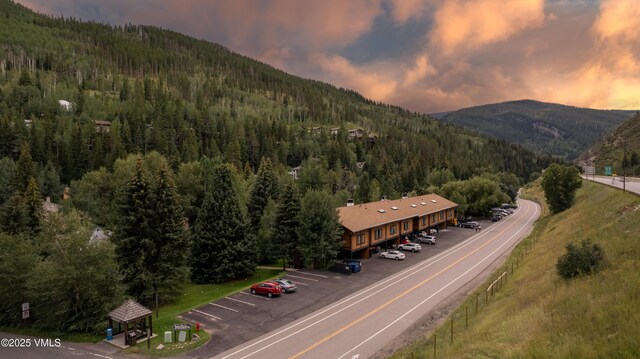 2958 S Frontage Rd W Unit C2, Vail, CO 81657 - photo 53