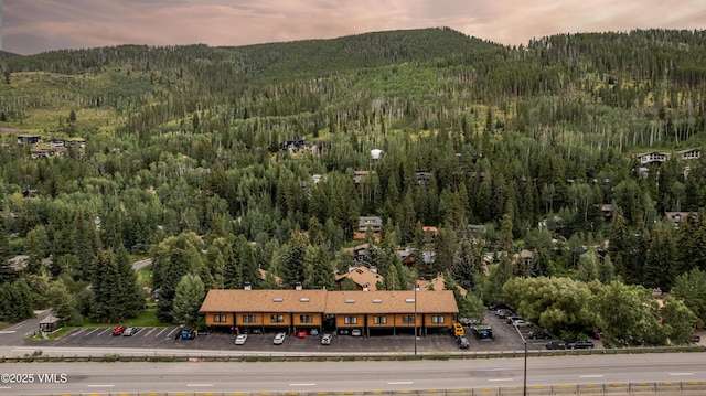 2958 S Frontage Rd W Unit C2, Vail, CO 81657 - photo 48